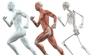 three men running - formed, muscled, skeleton