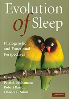 Evolution of Sleep (Phylogenetic and Functional Perspectives)