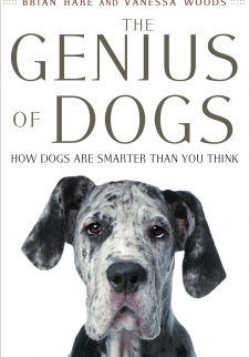 The Genius of Dogs: How Dogs Are Smarter Than You Think