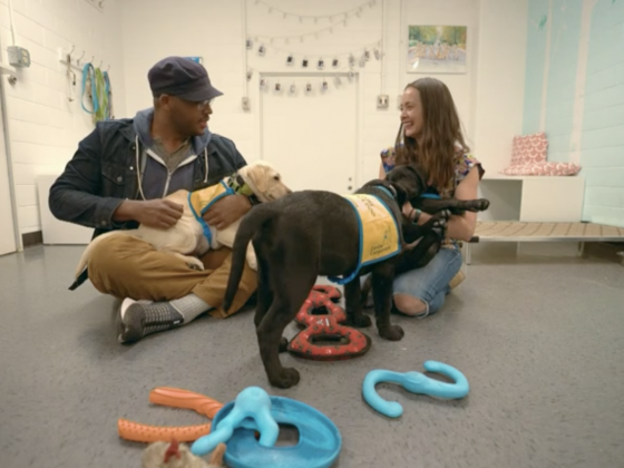Duke's Canine Cognition Center Featured in PBS Special "Man's Best Friend"