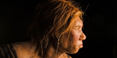 Reconstruction of a female Neandertal by Alfons and Adrie Kennis