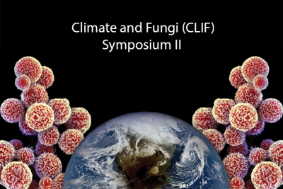 https://mgm.duke.edu/seminars-and-events/climate-and-fungi-clif-symposium-ii