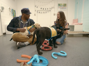 Duke's Canine Cognition Center Featured in PBS Special "Man's Best Friend"